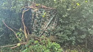 New Hide And Feeder Location