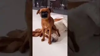 Самообладание -это....🔥☝️
