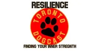 Resilience - Finding Your Inner Strength - Toronto Dogcast