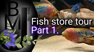 Fish store tour, a AMAZING store!! VK Cichlids in the Netherlands