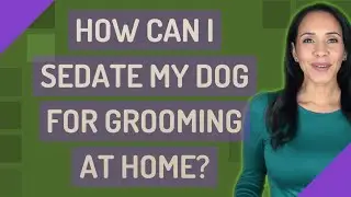 How can I sedate my dog for grooming at home?
