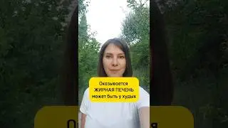 Оказывается ЖИРНАЯ ПЕЧЕНЬ может быть у худых людей