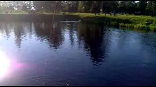 Ловля карпа нахлыстом.mp4