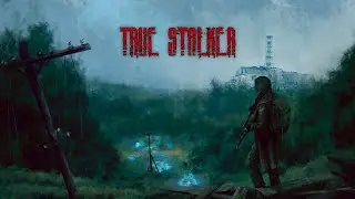 True Stalker Прохождение №3