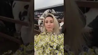 İneklerimle Selfie Çekerken Başıma Ne Geldi?