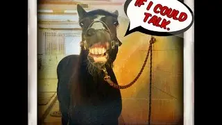 if bugsy could talk