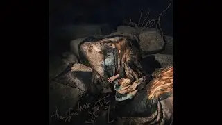 The Weather Station - Humanhood (Full Album) 2025