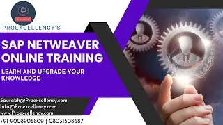 SAP NetWeaver training | SAP NetWeaver: Online Training, Certification, and Hands-on Learning