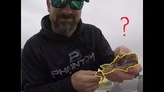 No Excuses #5  Shelbyville BFL Super Tournament