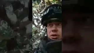 СВО 