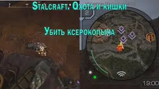 ☢️Stalcraft.☢️.Как быстро убить ксерокопыча.Охота и кишки
