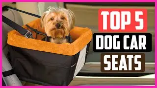 Top 5 Best Dog Car Seats In 2021 Reviews