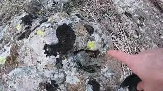ZİRVE 1ALAN TARAMA Mezar  odası  Tespiti