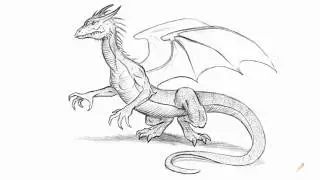 How to draw a dragon