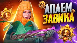 КД 15.49 🤯 БЕРУ ЗАВОЕВАТЕЛЯ АС 33 😰 ОБНОВЛЕНИЕ 3.3 В PUBG MOBILE 🔥 СТРИМ ПАБГ МОБАИЛ ZAKONVVORE