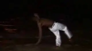 Mestre Bamba - Master of Capoeira Regional