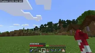Minecraft - Threading the Needle