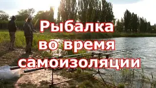 Рыбалка во время самоизоляции на местном бесплатном озерце
