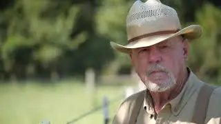 White Oak Pastures