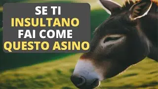 L'Asinello Insultato: Una Storia di Crescita Personale e Solidarietà