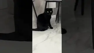 В гостях у Леи 😈(ПОЛНАЯ ВЕРСИЯ В РАЗДЕЛЕ ВИДЕО)