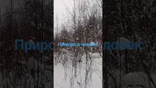 Природа и человек #прекрасное, мой канал в телепрограмме https://t.me/htt_AleksSvet16psikholog