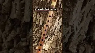 Master Alexduduk 