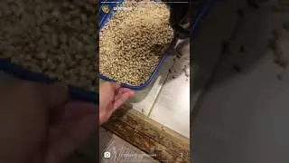 ДЖАВИД и ШЕРСТЯНОЙ ЗАЛУПА