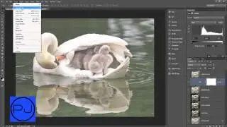 Photoshop Tutorial Auto Correct