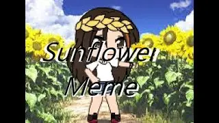 sunflower meme