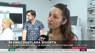 Türkiye'de en çok kediler sigortalanıyor - Sigorta Uzmanı Turusan Bağcı anlattı