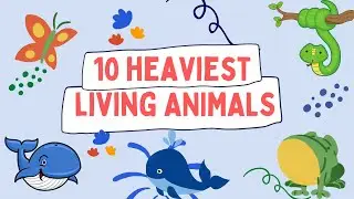 10 HEAVIEST LIVING ANIMALS || Animal Vocabulary || Animal Kingdom ||