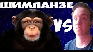 У МЕНЯ ПОЯВИЛАСЬ ДЕВУШКА|ШИМПАНЗЕ БОТ