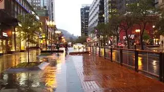 Montreal in the rain