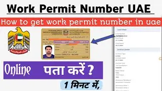 Work permit number uae | How to get work permit number in uae