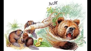 К. Паустовский. Дремучий медведь. #книгивслух #читатьвслух
