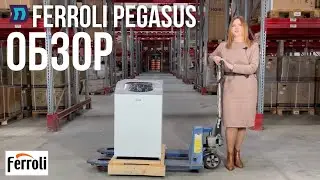 Обзор FERROLI PEGASUS