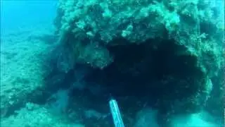 GoPro Dive Nikos Baladakis, 32 Meters deep, spearing a 7 Kilo Grouper on one breath. Greek Islands