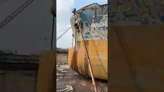 Лучшие моменты трансляции 