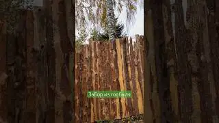 Забор из горбыля своими руками, подпилить или оставить на всю высоту ?