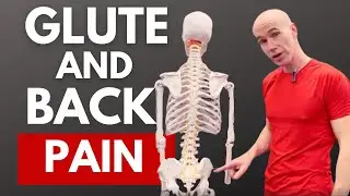 Low Back Pain Fix - It Could Be Coming From Your Glutes.
