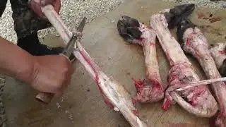 Обдираем копыта и едим костный мозг