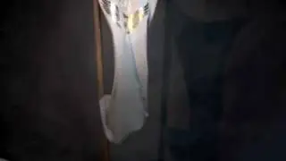 Vlog 67 Global Female Army shirt picture