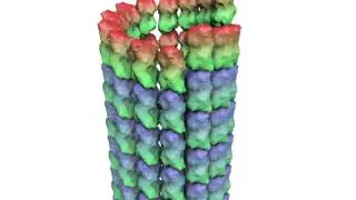 Berkeley scientists discover Taxol's effect on cells' microtubules