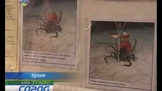 клещ куснул160610