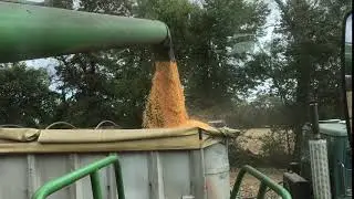 Unloading Corn from On-board Storage in Combine onto Grain Truck