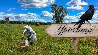 Нашли монеты советского и царского периода  на урочище