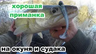 Рыбалка на спиннинг с берега  на джиг. Бешеный клев судака в паводок зимой. 