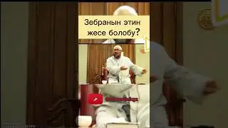 Шейх Чубак ажыга суроо: зебранын этин жесе болобу? #ислам #насаатмедиа #чубак #ажы