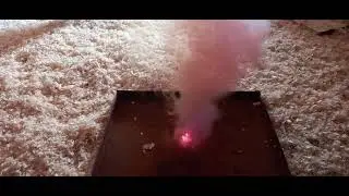 Дизинфекция курятника вместе с птицей...